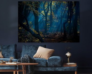 Wald in Blau, das frühe Licht