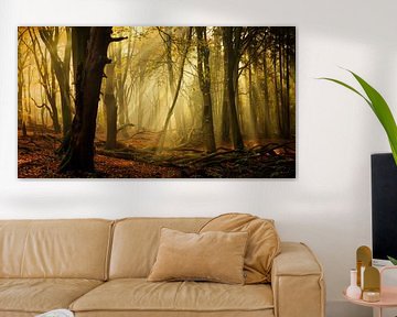 Speulderbos in autumn (XXL size, ideal for wallpaper)