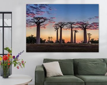 Die Allée des baobabs bei Sonnenuntergang von Annette Roijaards