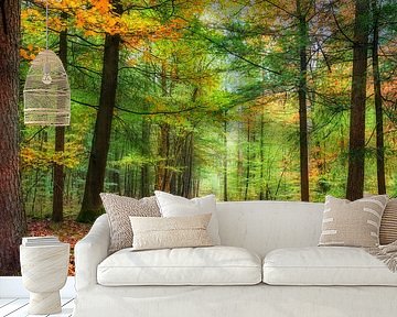 Autumn in the forest with Needle and deciduous trees by eric van der eijk