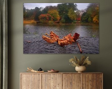 Autumn leaf 1