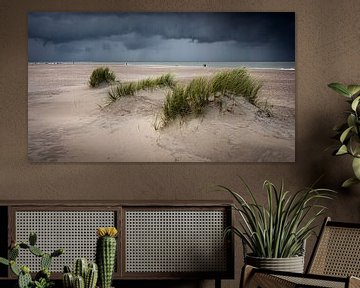 storm aan zee van rob creemers