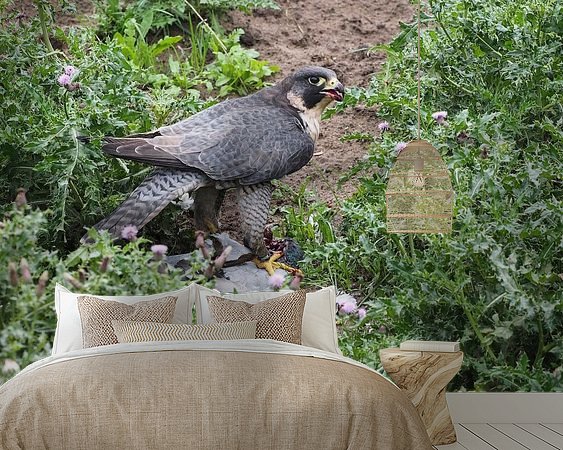 Aperçu de la chambre