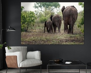 Elephants by Petra Lakerveld