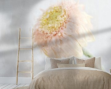 Gerbera by Mirjam Duizendstra