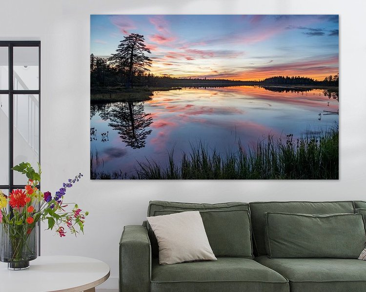 Aperçu de la chambre