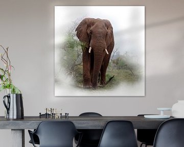 Elefant im Krüger-Park von Petra Lakerveld