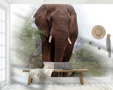 Elephant in the Kruger Park by Petra Lakerveld