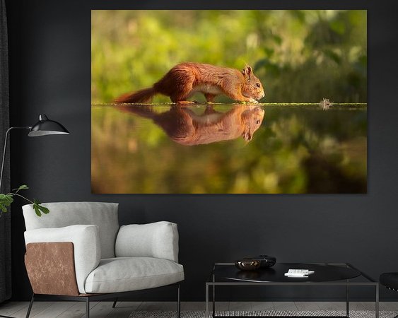 Aperçu de la chambre