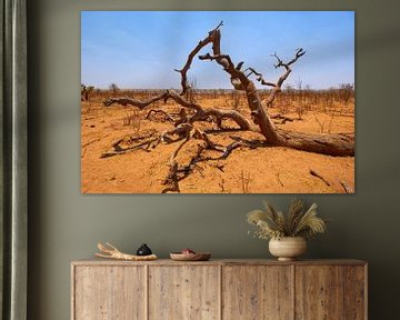 Paysage désertique au Botswana sur Jolene van den Berg