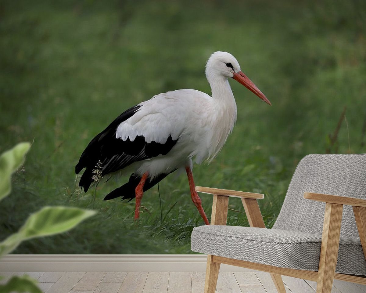 Raumvorschau