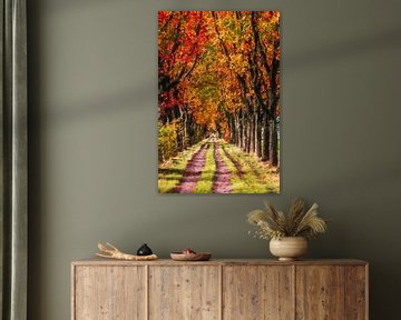 Mooie herfstkleuren in de Snollevendreef (Visdonk, Roosendaal) (schilderij) van Art by Jeronimo