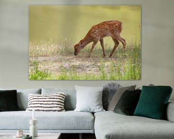 Fawn op het water van Heike Hultsch