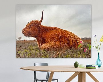 Scottish Highlander Estate Huis ter Heide