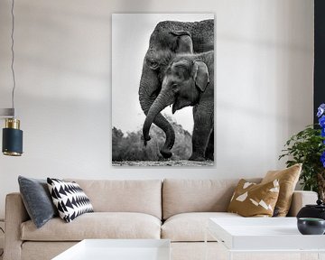 Elephant portrait by Amanda Blom