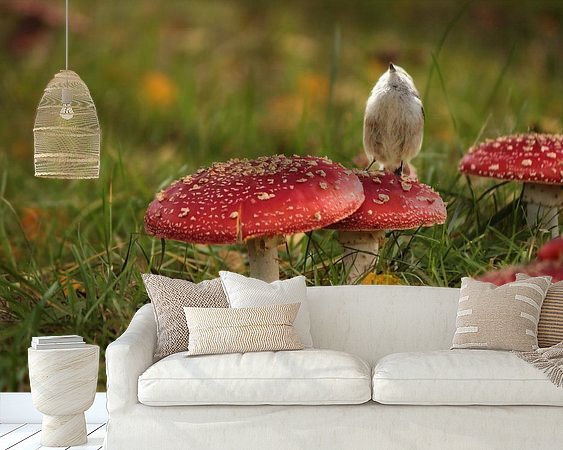 Aperçu de la chambre