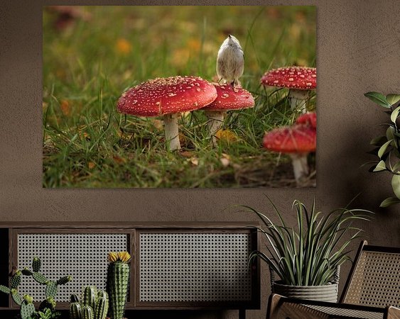 Aperçu de la chambre