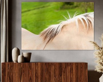 Abstracte foto van paarden rug en manen