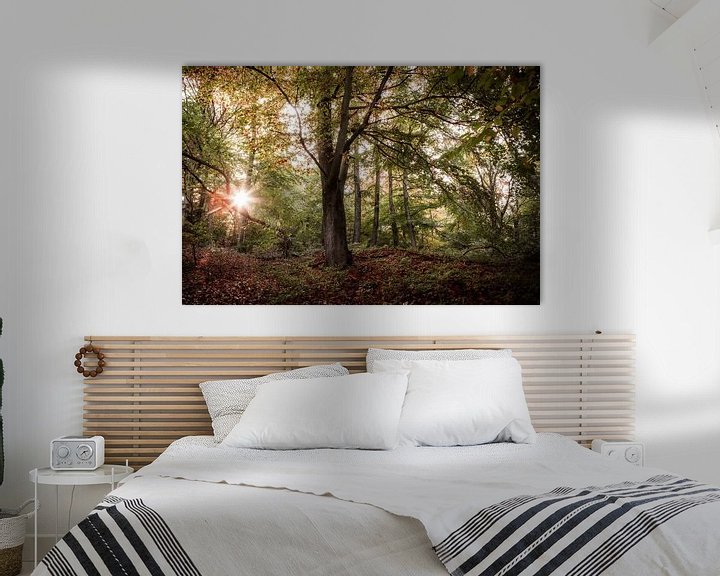 Beispiel: Sonnenaufgang im Dorm von Sebastian Petersen
