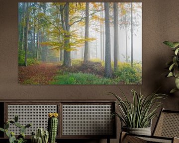 Herbstwald im Morgennebel von Peter Felberbauer
