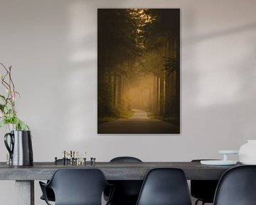 Ochtendlicht in het Speulderbos van Ivor Baak