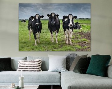 De koeien van Boer Janmaat, Barwoutswaarder van paul snijders
