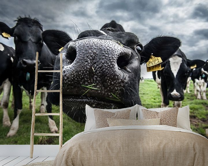 Sfeerimpressie behang: De koe van Boer Janmaat, Barwoutswaarder van paul snijders