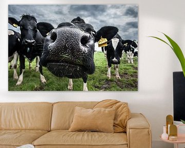 Die Kuh von Boer Janmaat, Barwoutswaarder von paul snijders