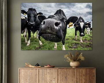 La vache du fermier Janmaat, Barwoutswaarder sur paul snijders