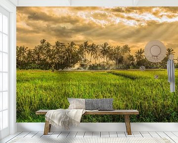 rijstveld in Ubud Bali van Lima Fotografie