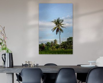 Palmboom op Bali van Ellis Peeters