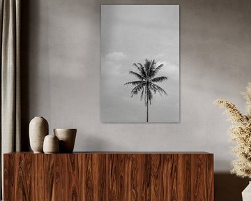 Zwart wit palmboom op Bali