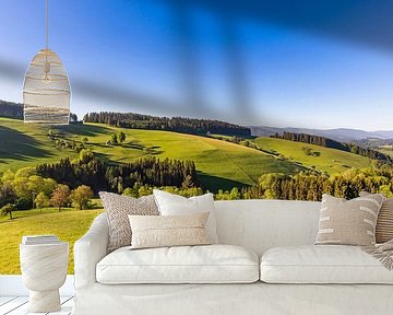 Upper Black Forest near St. Peter in spring by Werner Dieterich