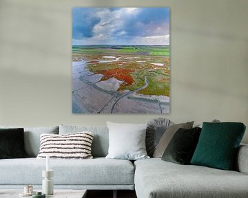 Texel - De Schorre - Red Marsh samphire 02 by Texel360Fotografie Richard Heerschap