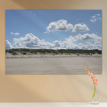 Dunes - At the beach