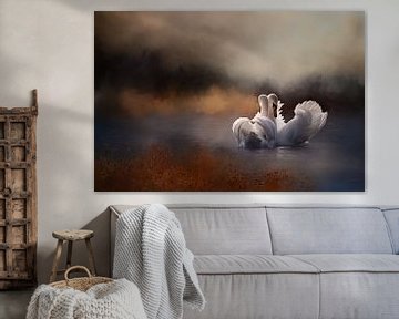 Two Swans In Water by Diana van Tankeren