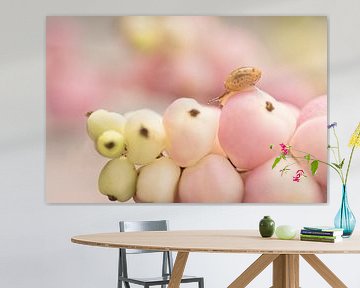 So süß (Schnecke auf rosa Beeren) von Birgitte Bergman