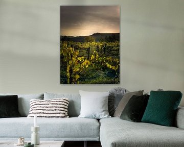 Wijngaard in Toscane in Italië met prachtige aardkleuren van Voss Fine Art Fotografie