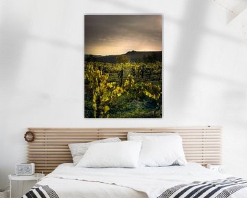 Vignoble en Toscane en Italie avec de belles couleurs de terre sur Voss Fine Art Fotografie