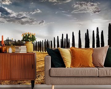 Cypress path with country house / farm in Tuscany / Italy by Voss photography