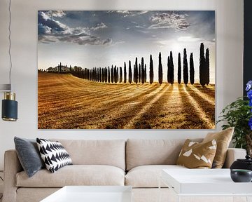 Cypressenpad met landhuis/boerderij in Toscane / Italië van Voss Fine Art Fotografie