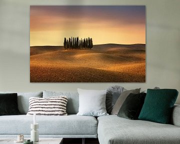 Cypressen op een groot veld in Toscane in Italië. Typisch puristisch landschap / heuvellandschap van van Voss Fine Art Fotografie