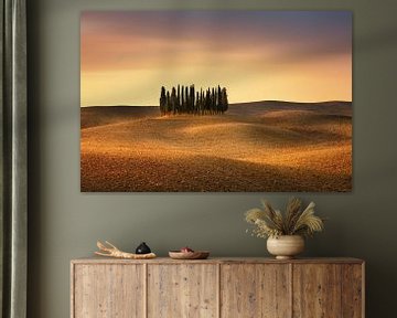 Cypressen op een groot veld in Toscane in Italië. Typisch puristisch landschap / heuvellandschap van van Voss Fine Art Fotografie