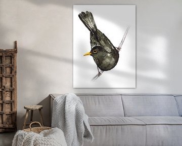 Amsel-Aquarell von Bianca Wisseloo