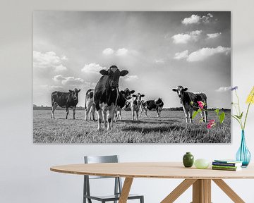 Groep koeien in een wei in zwart wit van Sjoerd van der Wal Fotografie