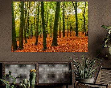 Herbstlandschaft in einem Buchenwald von Sjoerd van der Wal Fotografie