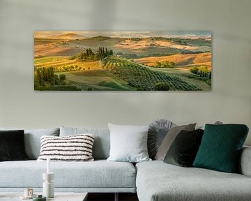 Toskana Landschaft in Italien mit schönem Landhaus / Bauernhof