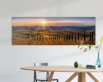 Toskana Landschaft mit Feldern , Zypressenweg und Hügellandschaft im Sonnenuntergang
