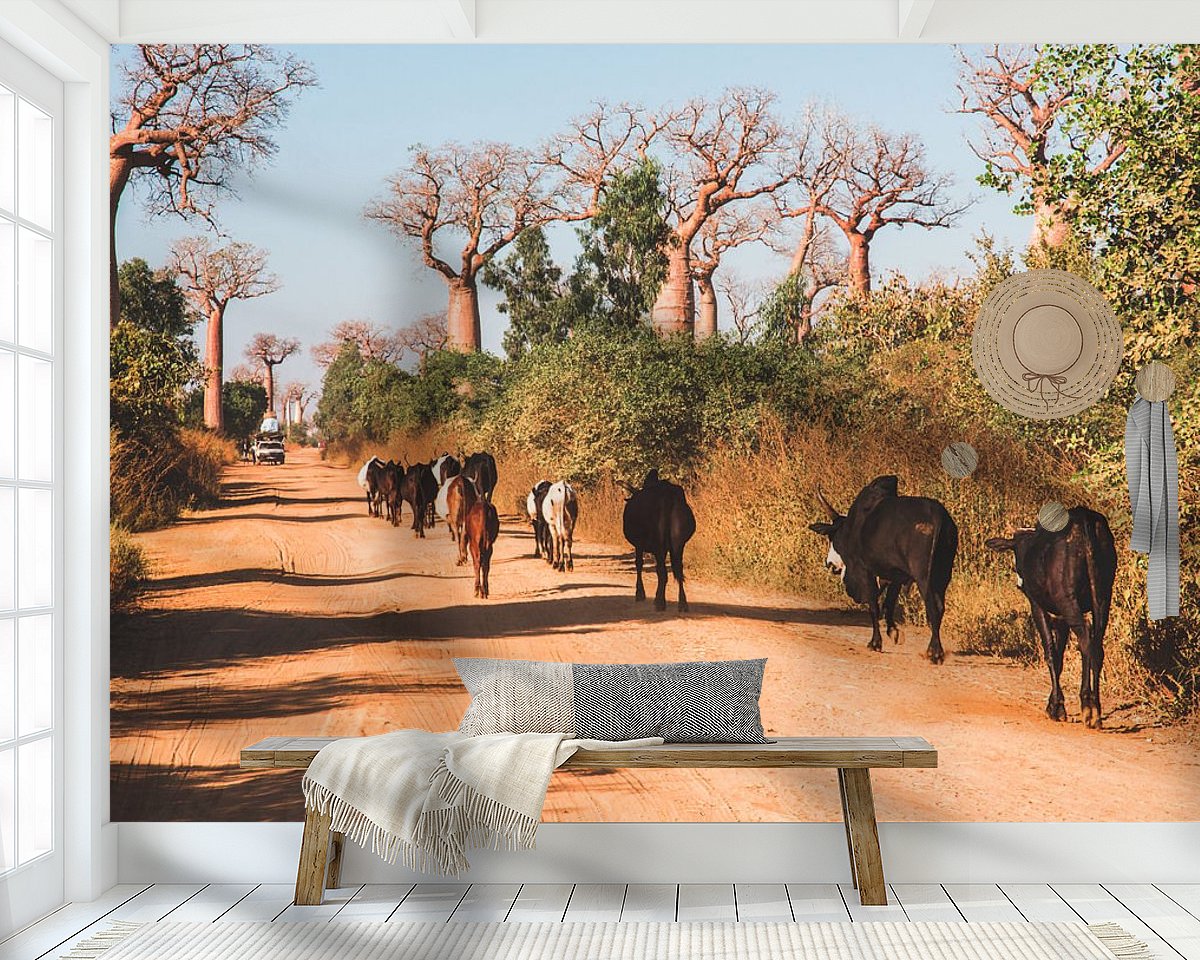 Raumvorschau