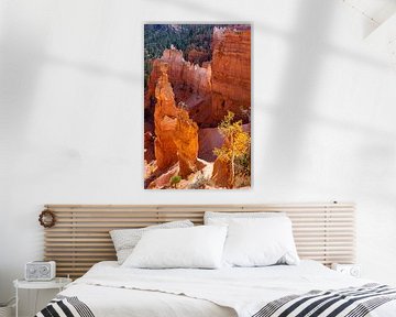 Herfst in Bryce Canyon, Verenigde Staten van Adelheid Smitt